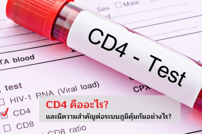 CD4 คืออะไร? และมีความสำคัญต่อระบบภูมิคุ้มกันอย่างไร?
