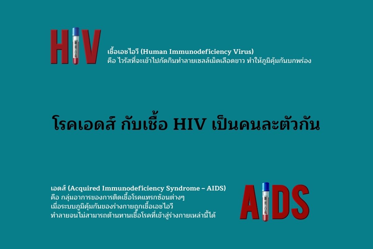 HIVกับAIDS คนละตัวกัน